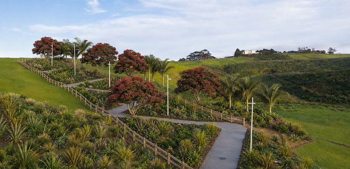 Vaughan’s Ridge – Red Beach Auckland
